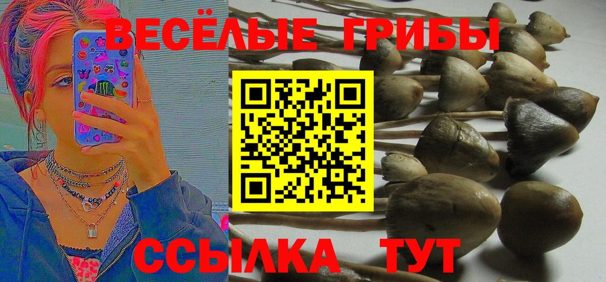 Галлюциногенные грибы GOLDEN TEACHER  Галлюциногенные грибы мицелий  Вход с VPN  Петрозаводск 
